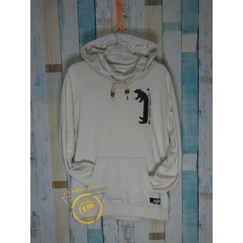 Hoodie/sweater Second/The north face