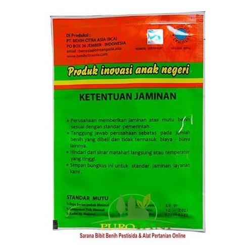 Bibit Mentimun F 1 Benih Timun Semi F1 Bintang Asia 900 Butir 20gr