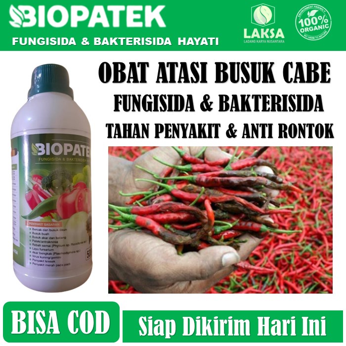 BIOPATEK Obat Cabe Terbaik - Obat Atasi Busuk Cabe - Obat Patek Cabe - Obat Keriting Cabe - Mengatas