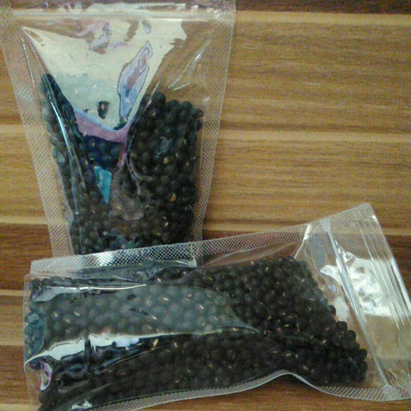 

Kacang gude sangrai siap masak