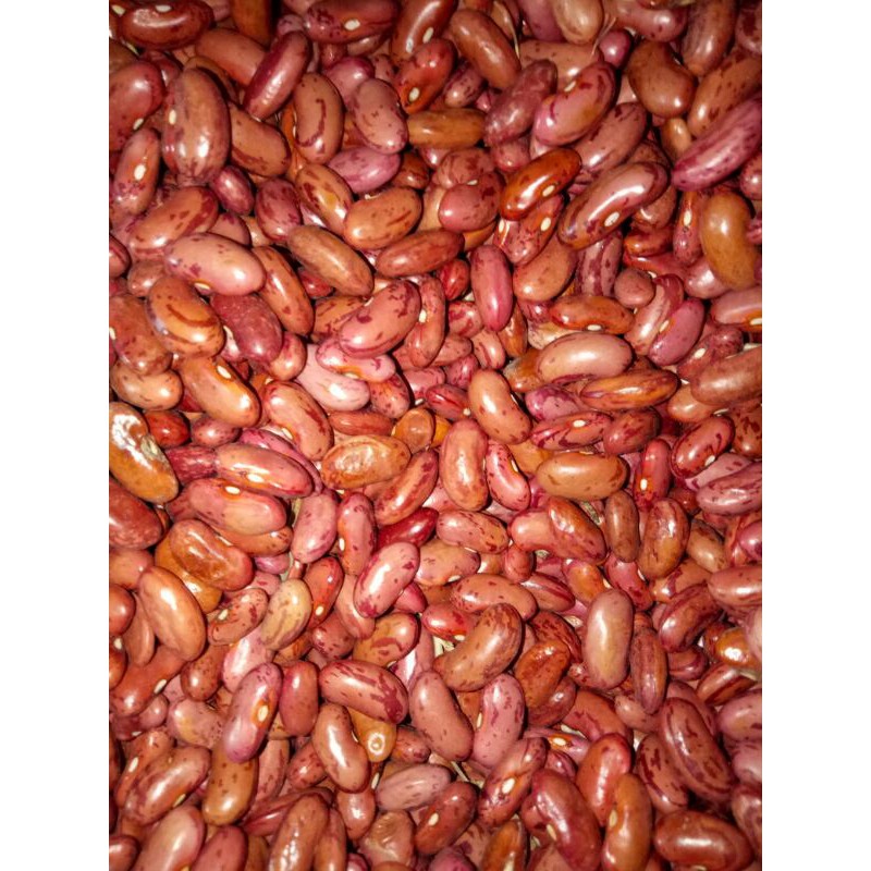 

Kacang Merah Lokal 500gr