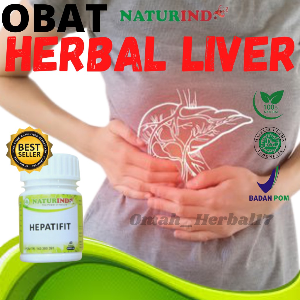 Obat Liver Obat Hati Bengkak Obat Herbal Liver Hepatifit