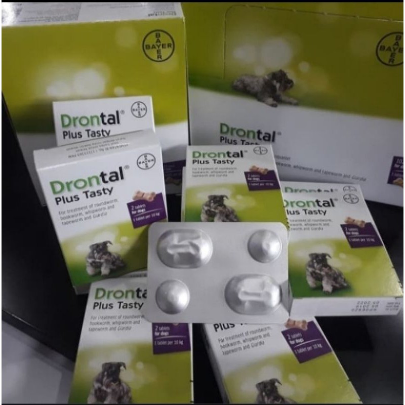 Drontal Dog Plus Tasty Obat Cacing Anjing 1 Box  Isi 2 Tablet