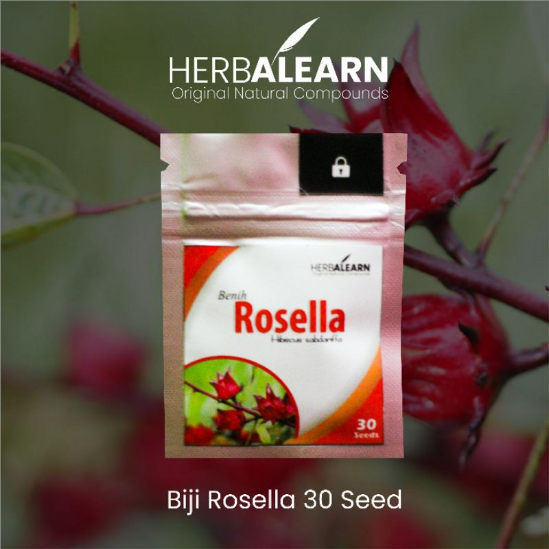 

Benih/Biji Rosella Merah berkualitas 30 seed