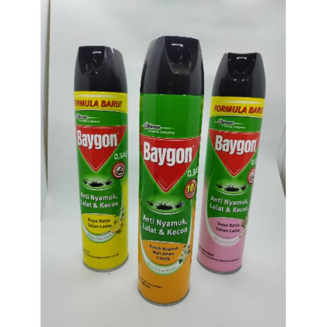 Baygon Aerosol 600ml All Varian