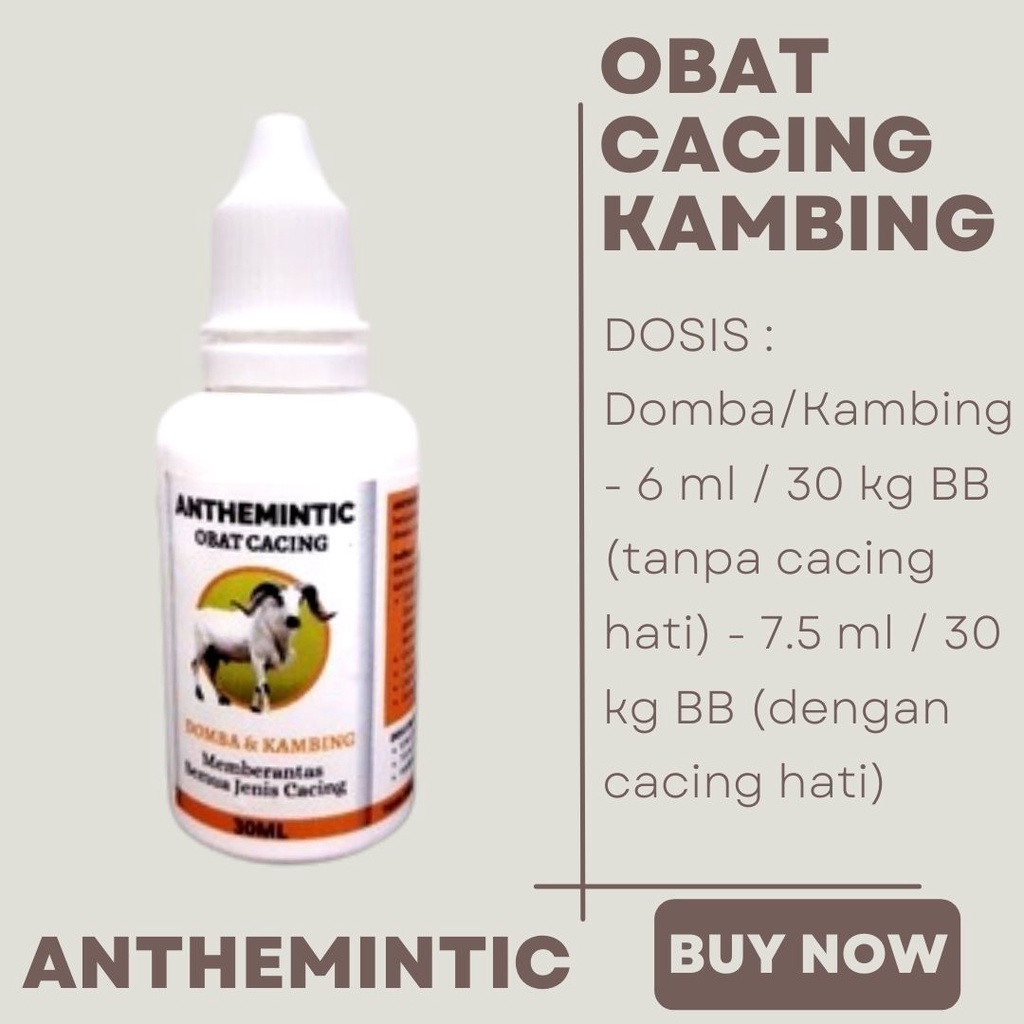 Obat Cacing Kusus Kambing Dan Domba Meningkatkan Nafsu Makan FEFARM