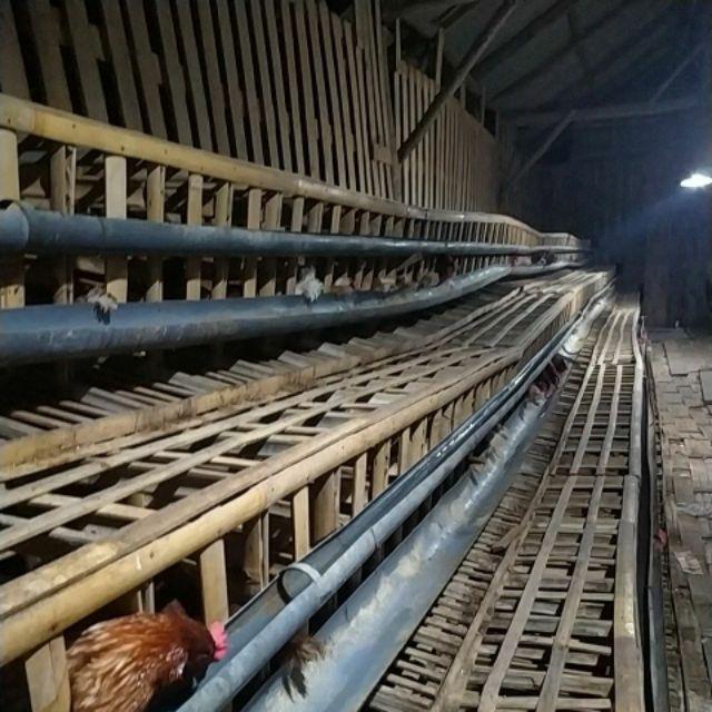 Gamis Batik Manggar, Padi, Sekar, Cantik, Kubis, Kipas, Daun