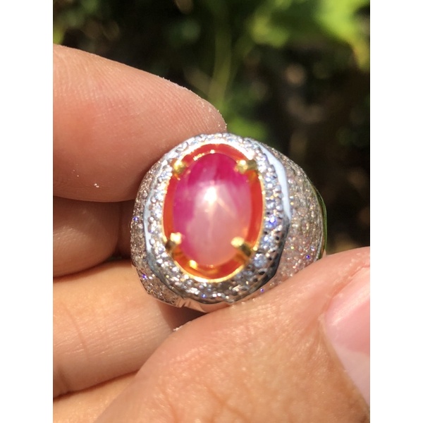 Ruby Star Burma Belang Koi Top Color