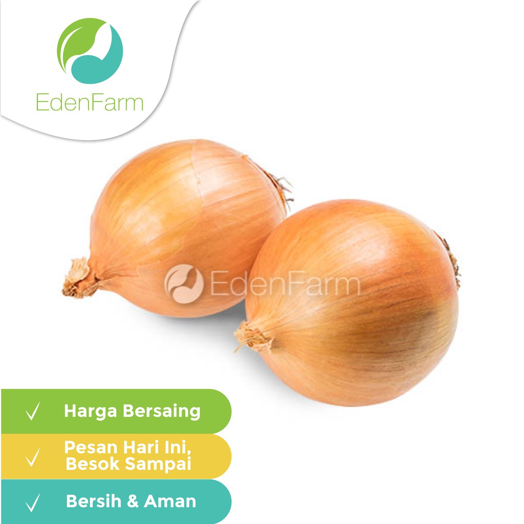 

Bawang Bombay Sedang - Grade A 500 gr (5-7 pcs/kg) Eden Farm