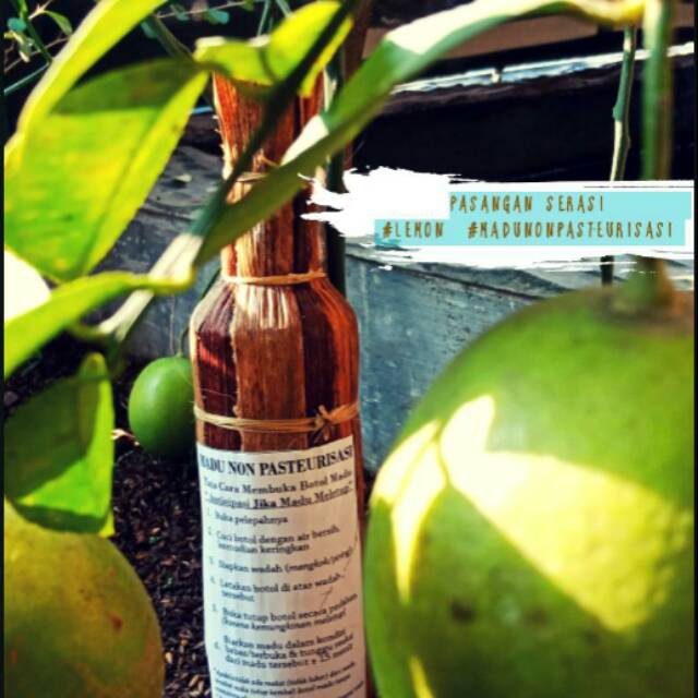 

Madu Hutan "Asli Baduy" Non Pasteurisasi bermanfaat untuk kesehatan..