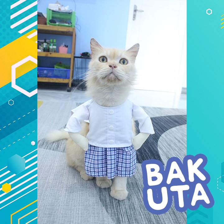 Kostum baju koko sarung kotak-kotak biru muda + Peci / baju koko kucing lebaran Terbaru size S-XL