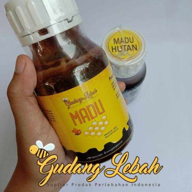 

Hutan Hutan Asli Kemasan 500 gram bantu kesehatan konsumsi makanan baik sunnah