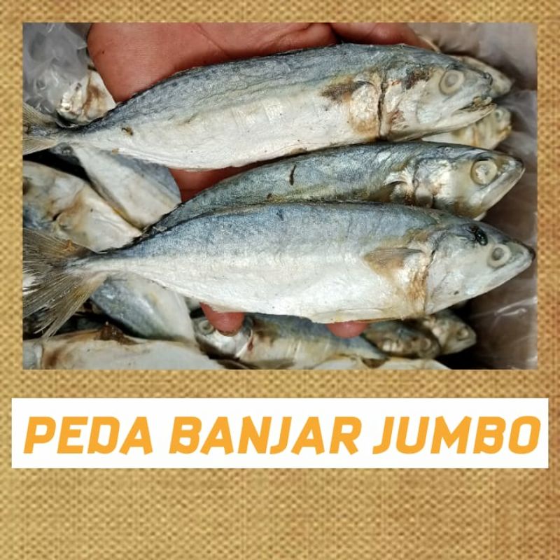 

Ikan Asin Peda Putih 500g