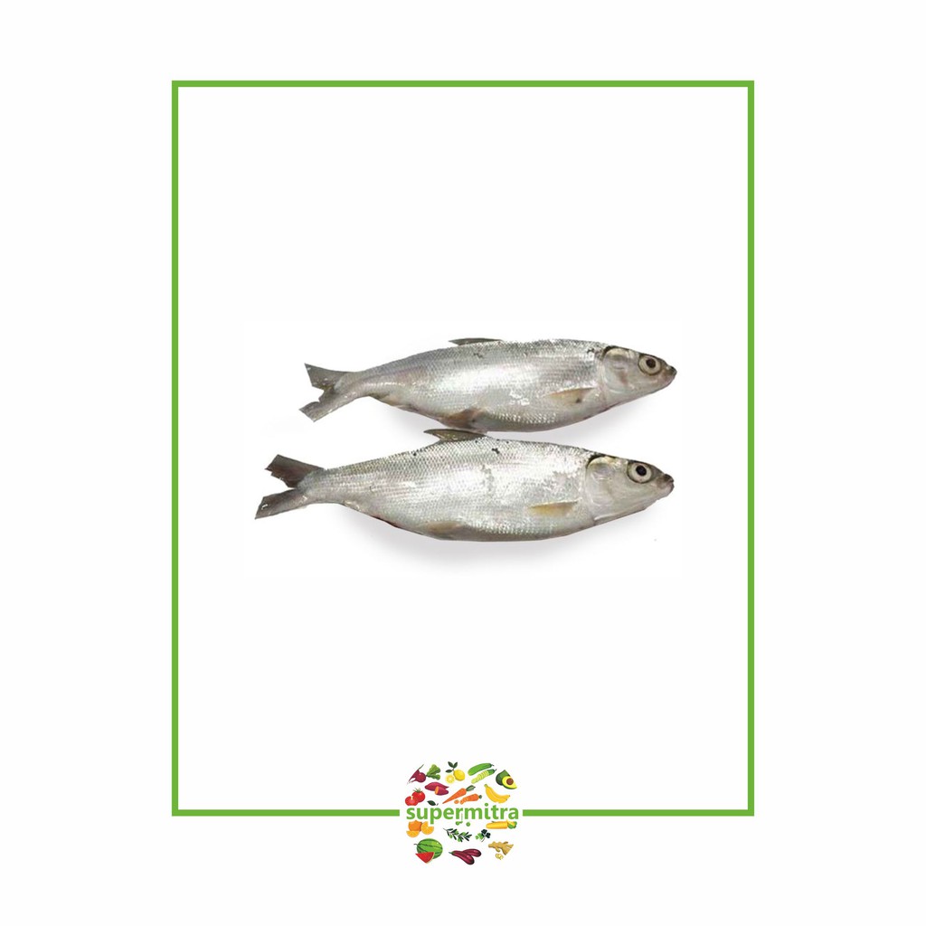 

Ikan bandeng ( 1kg )