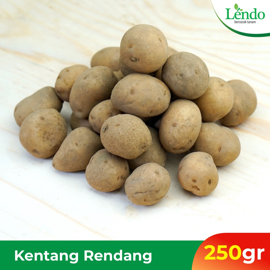 

Kentang rendang