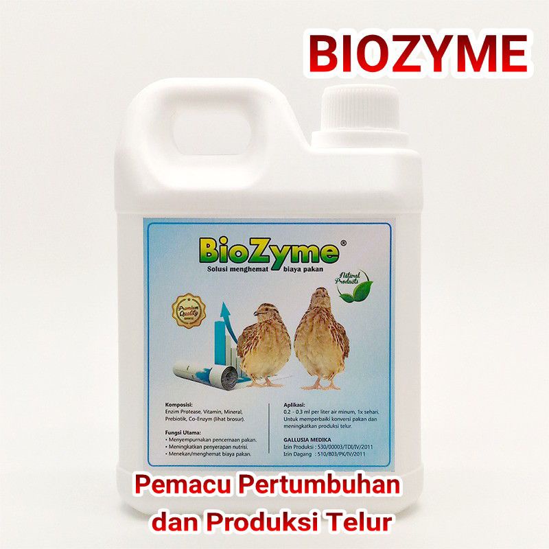 TERBARU TERBAIK Pemacu Pertumbuhan dan Produksi Telur Ternak Puyuh BIOZYME