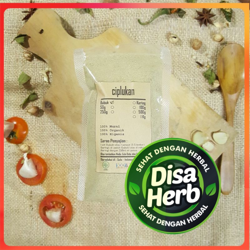 

BUBUK CIPLUKAN CEPLUKAN 250 GRAM - Physalis Angulata - MURNI - JSR - REMPAH - PREMIUM QUALITY