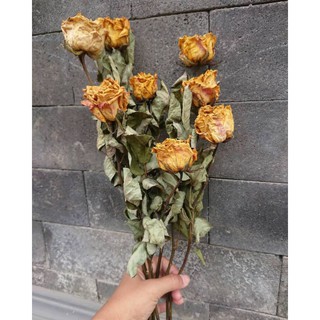  Bunga  Mawar Rose Kering  Dekorasi  Craft Mahar Buket Bunga  