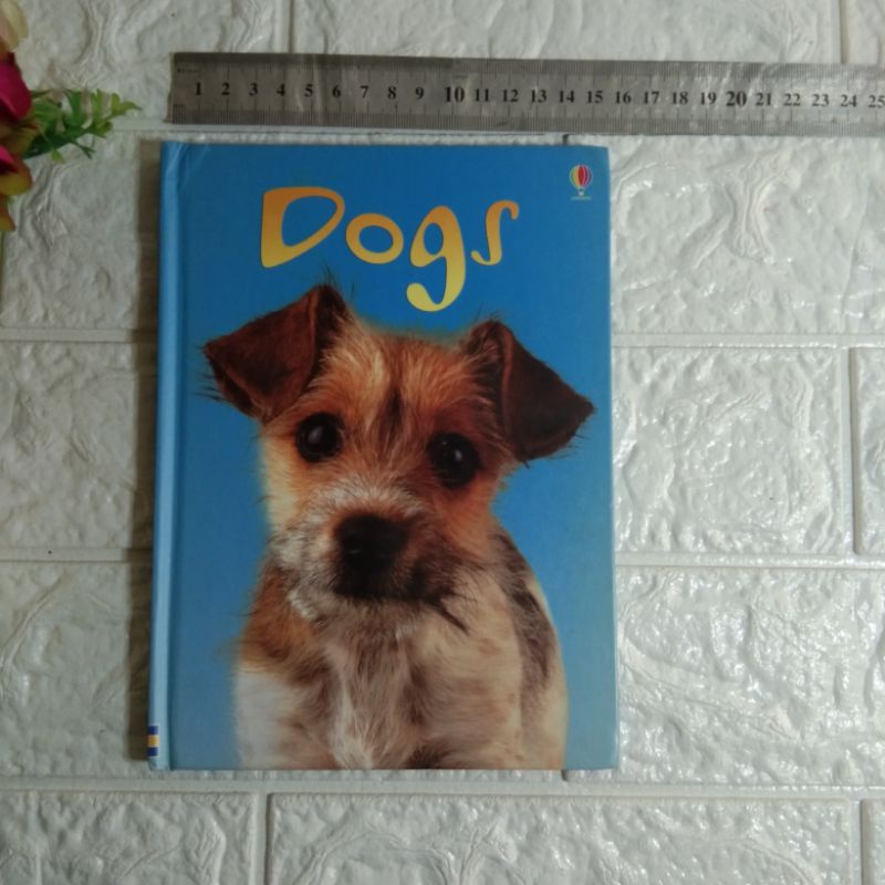 Buku anak preloved second bekas Usborne Beginners Level 1 - DOGS