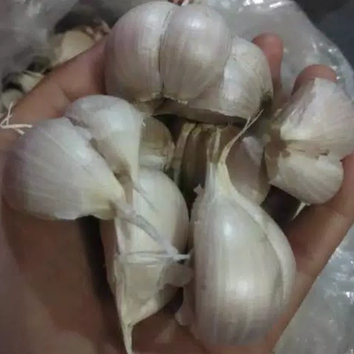 

Bawang putih kating super 500g