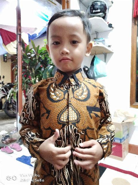Kemeja Batik Anak Laki-laki Lengan Panjang Motif Parang Garudo,baju Batik Anak Exclusive,batik Anak