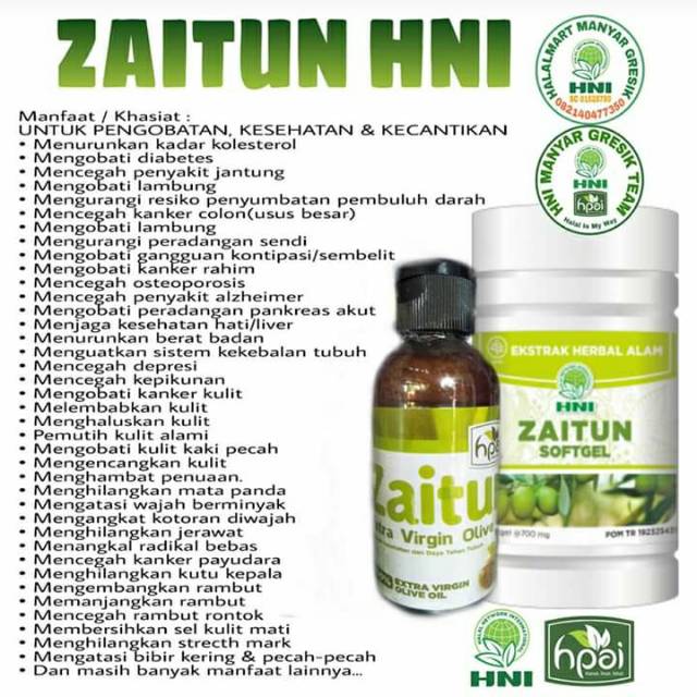 HNI zaitun