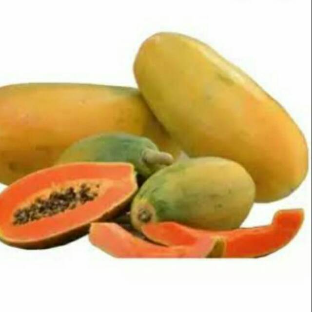 

Pepaya calipornia