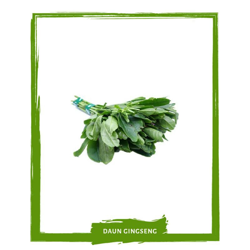 

Daun Gingseng / Sayur Sayuran Segar By Mallahrizwa