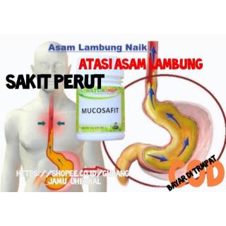 Obat Herbal Asam Lmbung Maagh Kronis Nyeri Ulu Hati Sakit Lambung Shopee Indonesia
