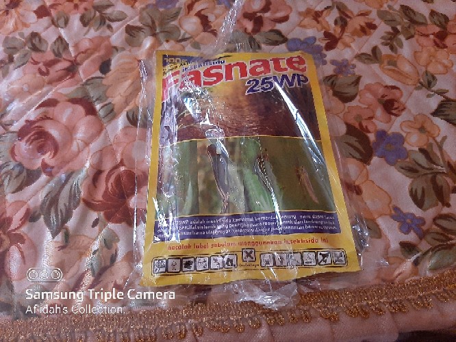 Obat Pertanian Membasmi Semut, Kutu Daun Dan Ulat 25wp