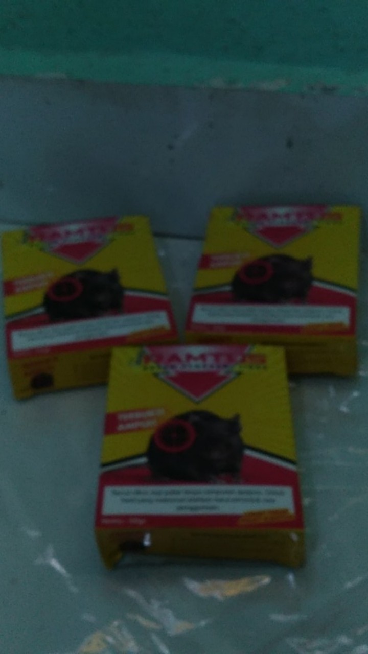 Ramtus Racun Tikus Ampuh Mati Kering Tidak Bau Pembasmi Curut Wirog Mencit Dirumah Di Mobil 3 Pack