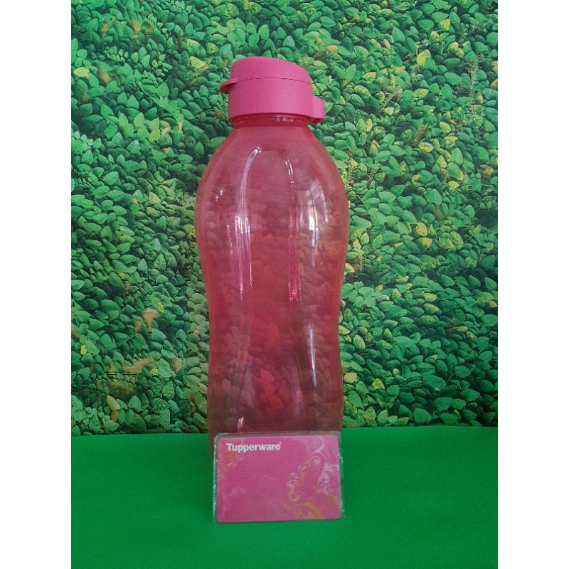 Eco Bottle 2 liter (1)