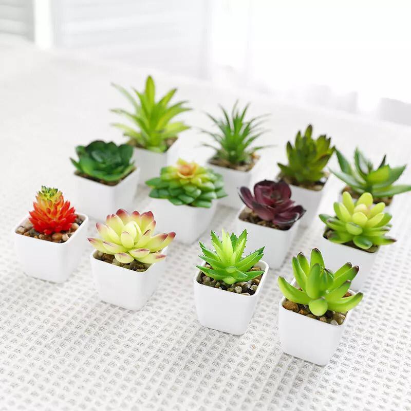 𝘈𝘉𝘎✰ Tanaman Mini Imitasi Dengan Pot Succulent untuk Dekorasi Rumah 1059