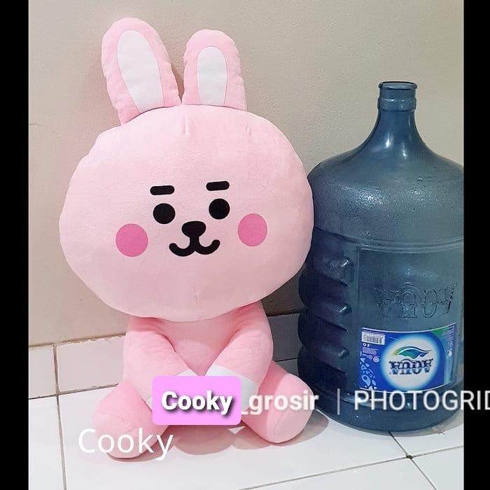 solusi Boneka BT21 BTS Jumbo Termurah Ukuran 65 CM - Cooky Limited