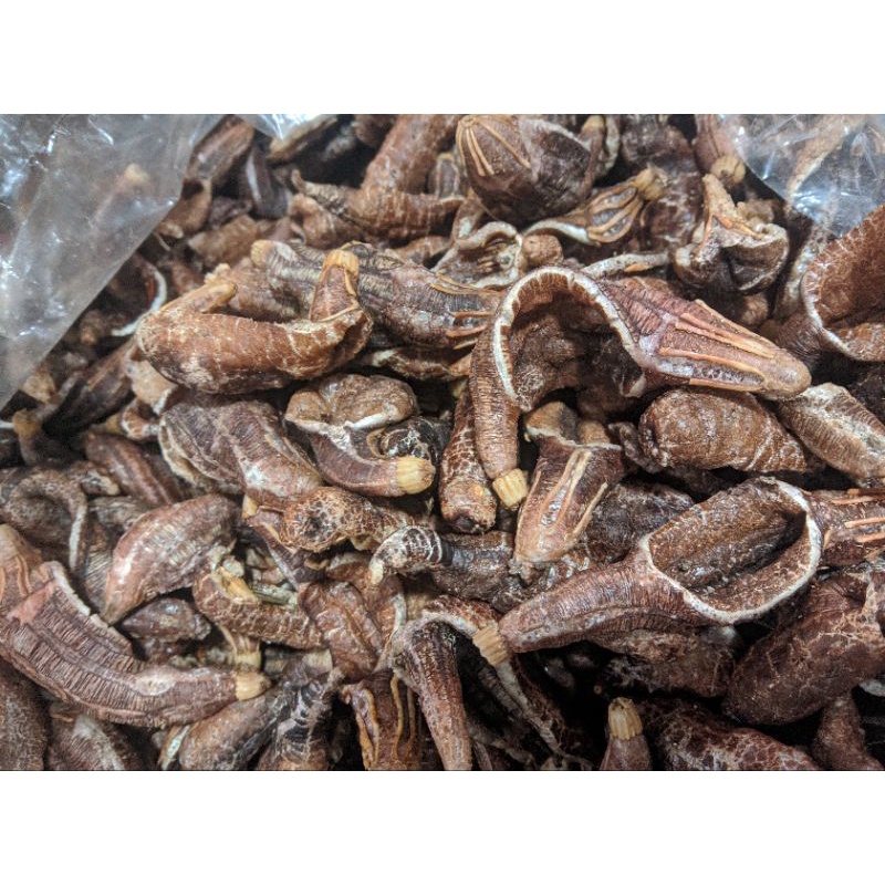 

kerupuk tripang murah khas surabaya kenjeran/makanan ringan kemasan 100g