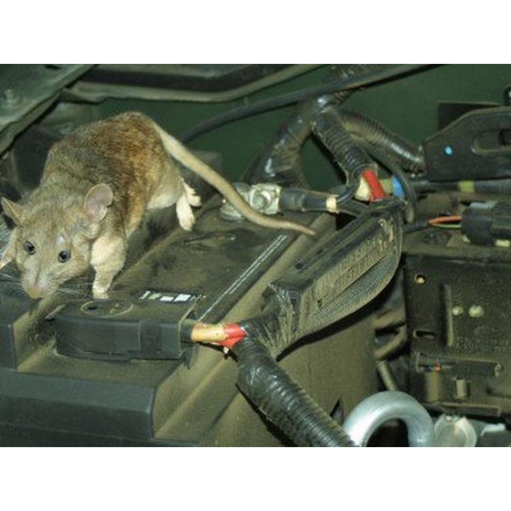 Pengusir Tikus Alat Pembasmi Pengusir Tikus Rumah di Mobil Anti Tikus Untuk Mobil Rat Repellent Ampuh Anti Tikus Mobil Top Anti Rat 250ml