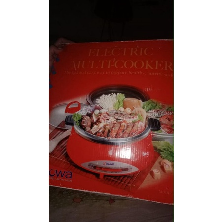 electrik multi cooker aowa
