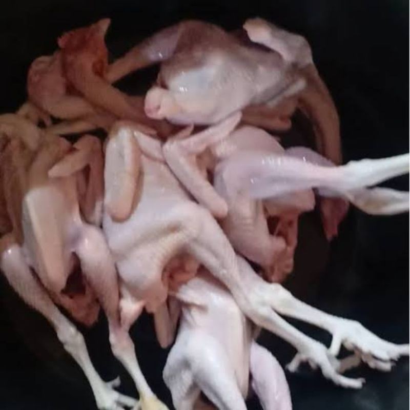

ayam pejantan