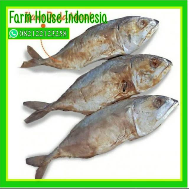 

Perfect Vegetables ikan asin peda merah 250 gram