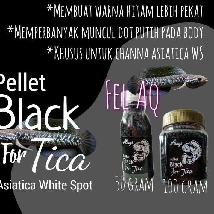 ♦ Pellet Channa Black For Tica Asiatica WS Pure Pelet Asagi Black Asiatika White Spot Pakan Chana Pe