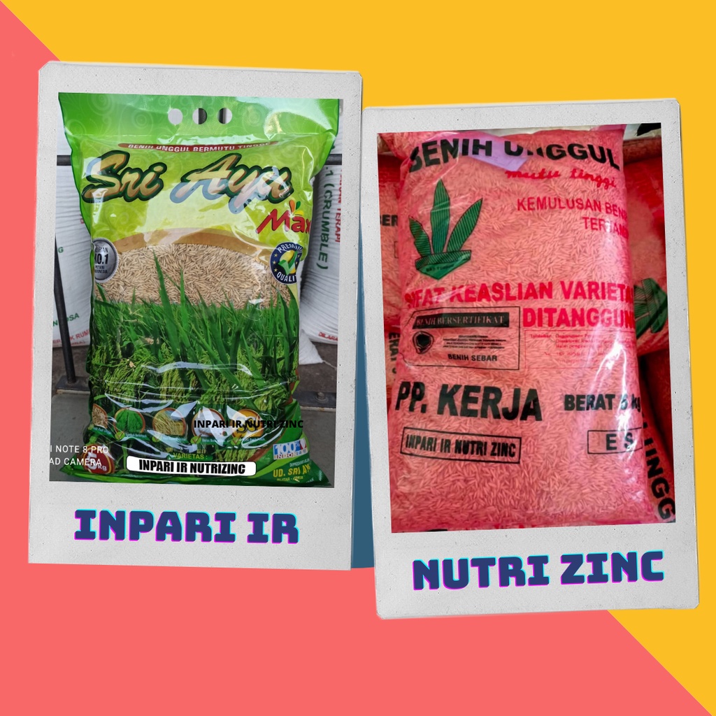 Benih Padi Inpari IR Nutri Zinc