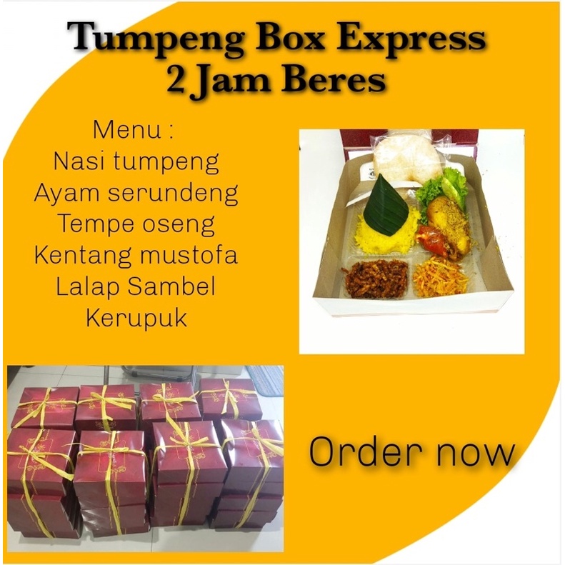 

tumpeng mini box karton ekonomis