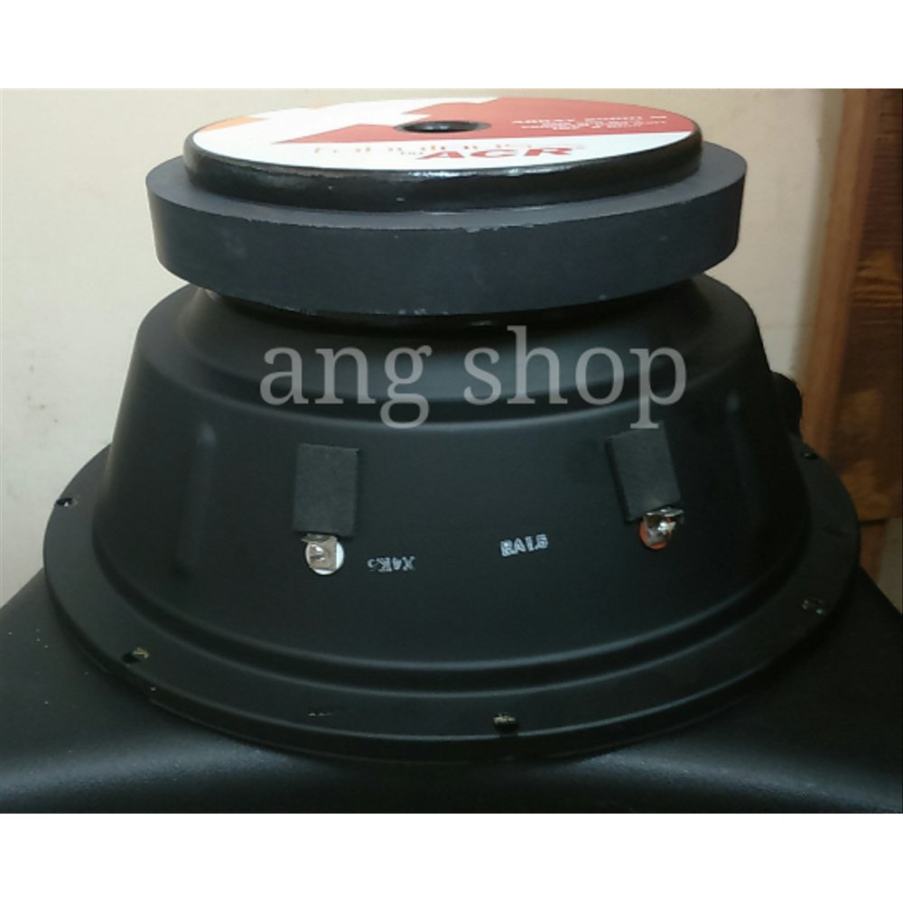speaker 10 inch array