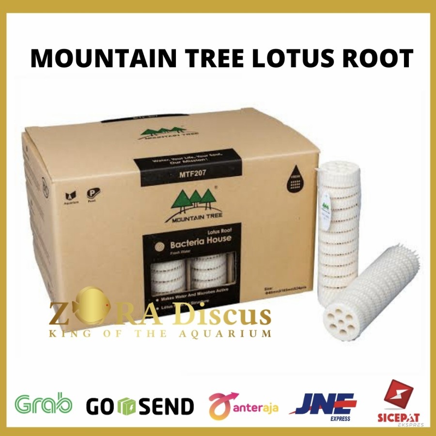 RUMAH BAKTERI IKAN MOUNTAIN TREE LOTUS ROOT MEDIA FILTER KECIL-SATUAN