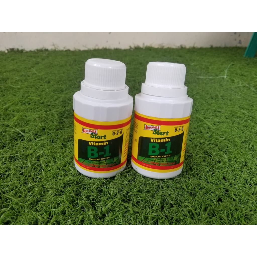 Vitamin B1 Tanaman 100ML Liquinox Original Anti Stres Tanaman dijamin ori kemasan asli pabrik