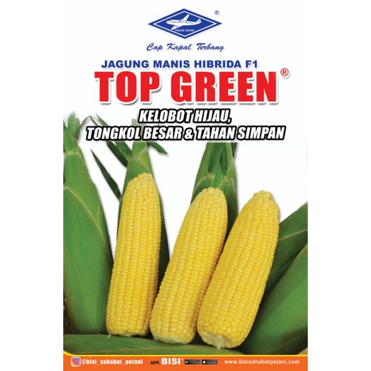 

Jagung Manis BISI TOP GREEN kelobot hijau dan MANIS