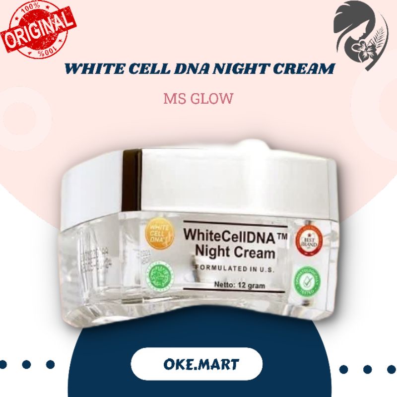MS GLOW NIGHT CREAM WhiteCellDNA MS GLOW | krim malam white cell dna