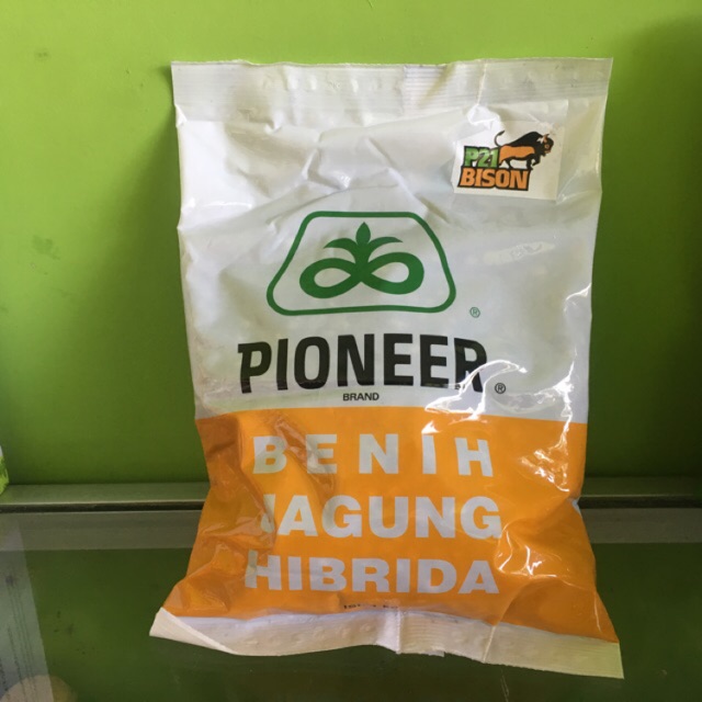 Benih Jagung Hibrida PIONEER Brand P21 Dahsyat Bibit Jagung Terbaik