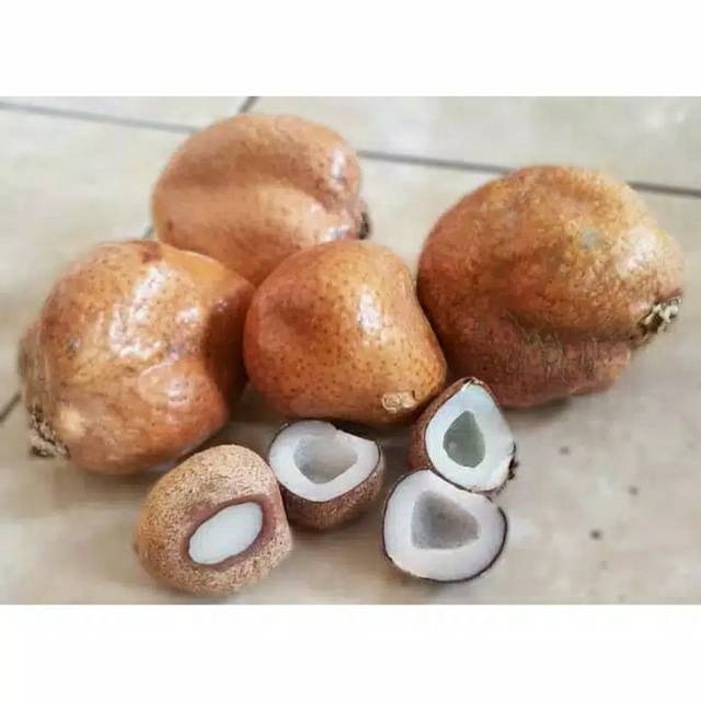 

Buah zuriyat Promil Freee Tespek Buah Zuriat / Zuriyat Doum Fruit 500gr