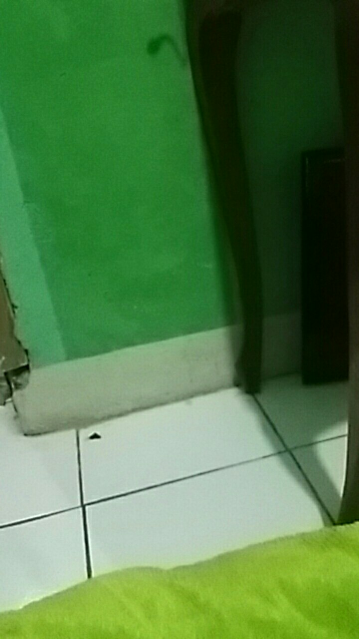 Thermostat Showcase As Panjang